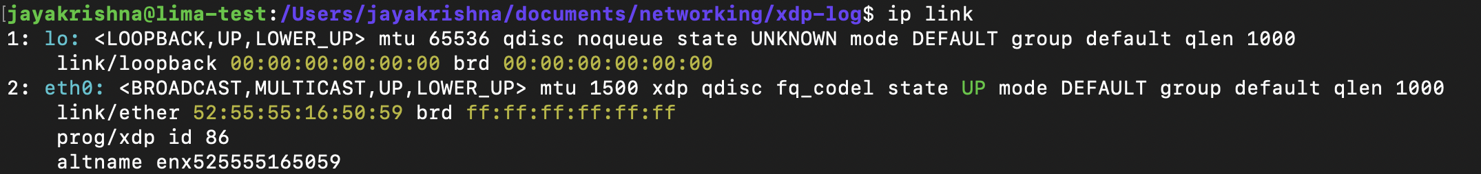 network interface output