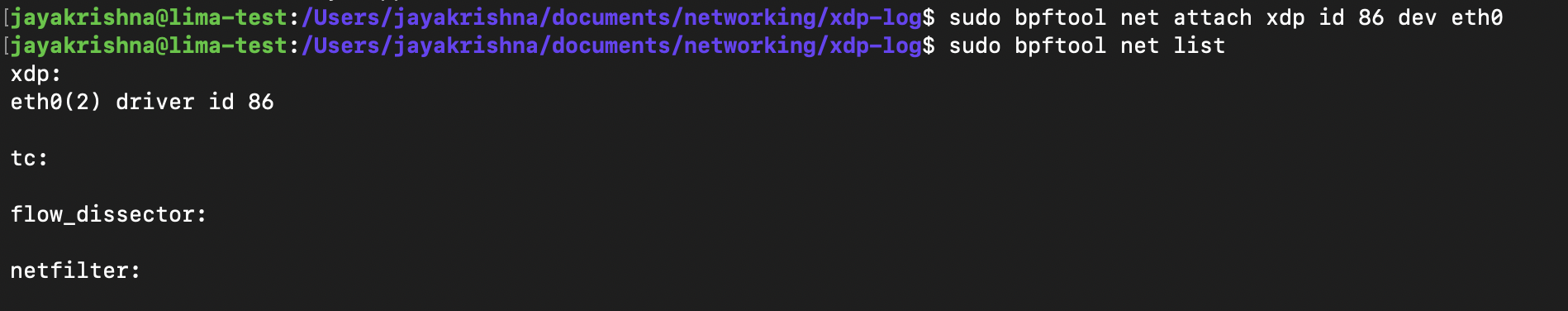 network interface output
