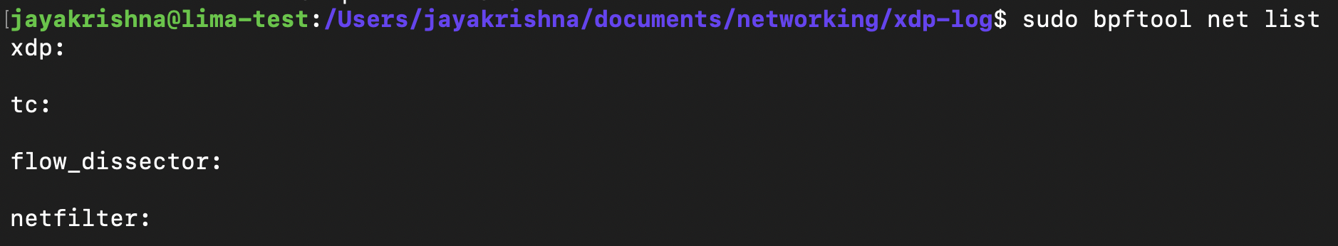 network interface output