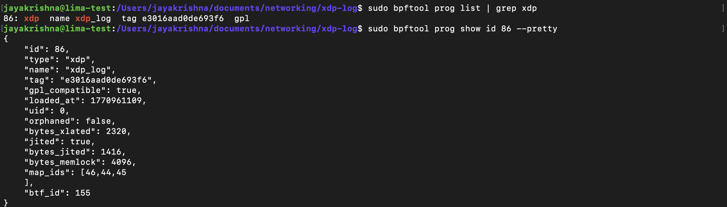 prog list terminal execution