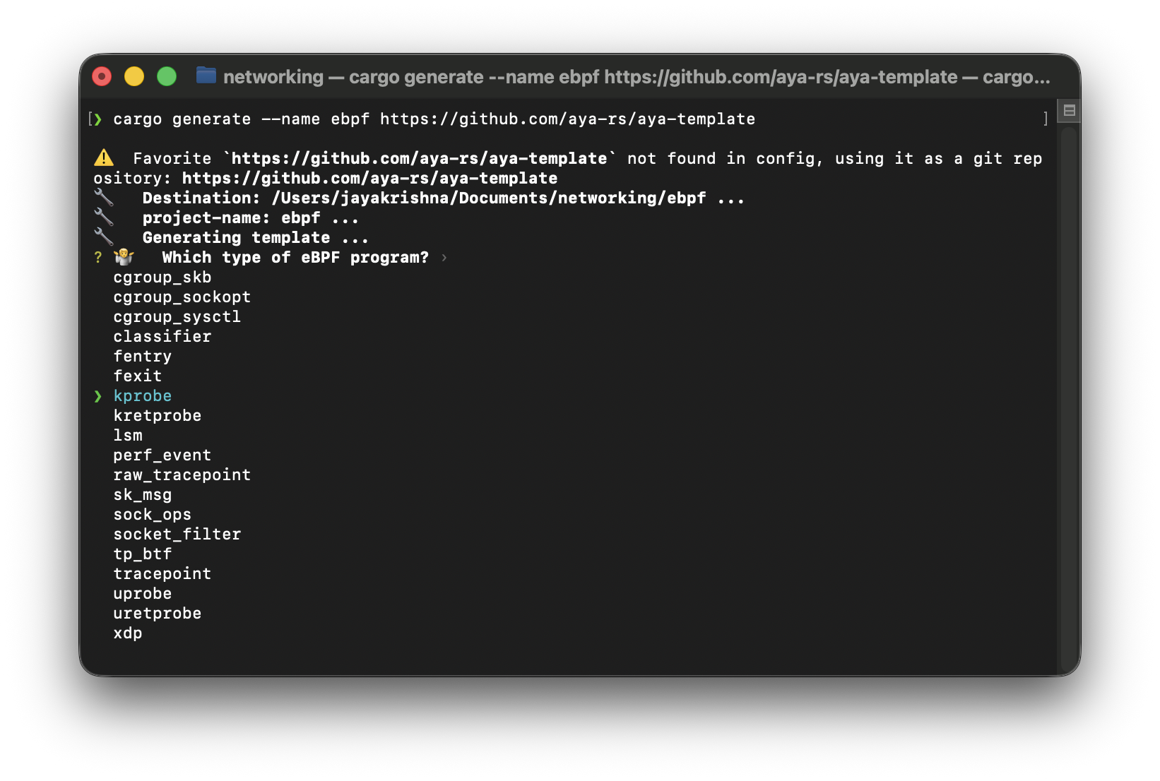 program type options