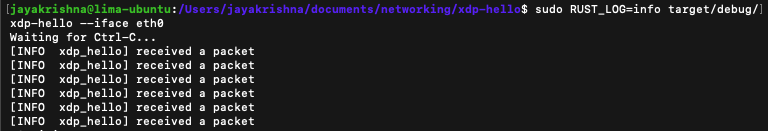 XDP program output showing successful packet processing in Lima VM